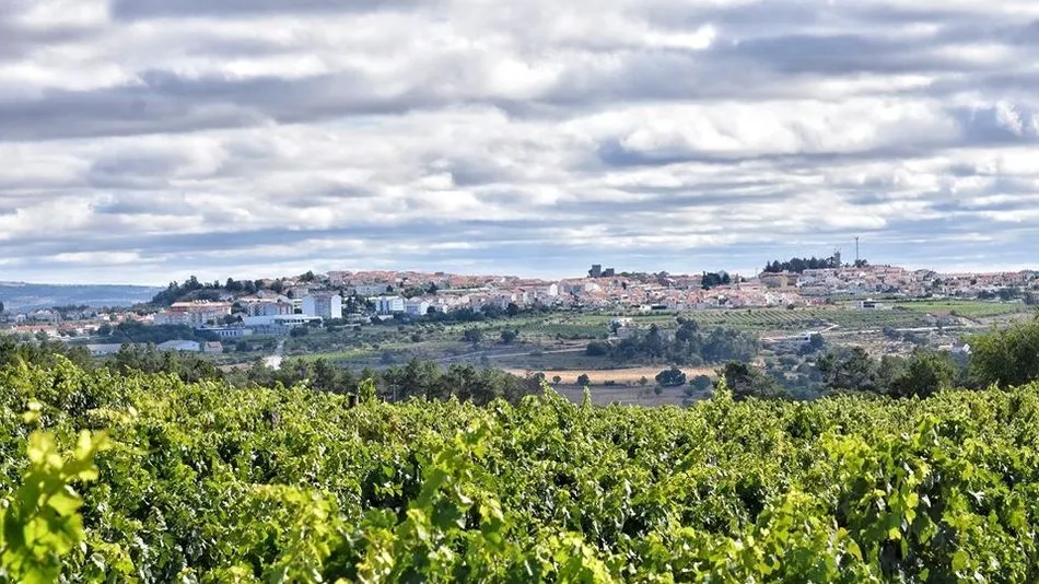 Los vinos de Pinhel forman parte de la DO Beira Interior