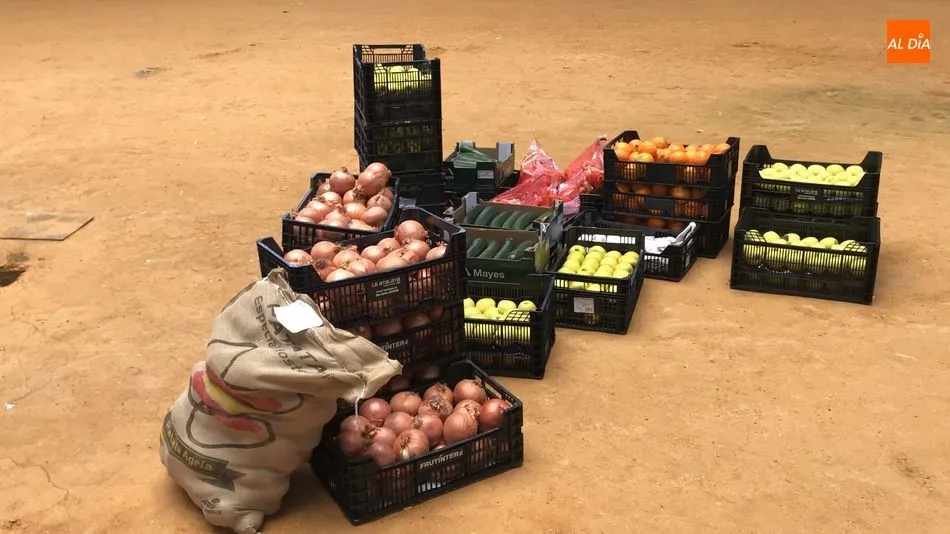 Foto 2 - Fruter&iacute;as P&eacute;rez Tejedor dona 800 kilos de fruta, verduras y patatas
