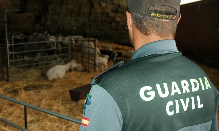 Agente de la Guardia Civil en una explotacion ganadera, en una intervención anterior. Foto de archivo
