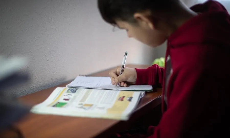 Un estudiante de Vitoria realiza deberes en su domicilio tras la suspensión de las clases presenciales por el coronavirus. Foto de Iñaki Berasaluce - EP
