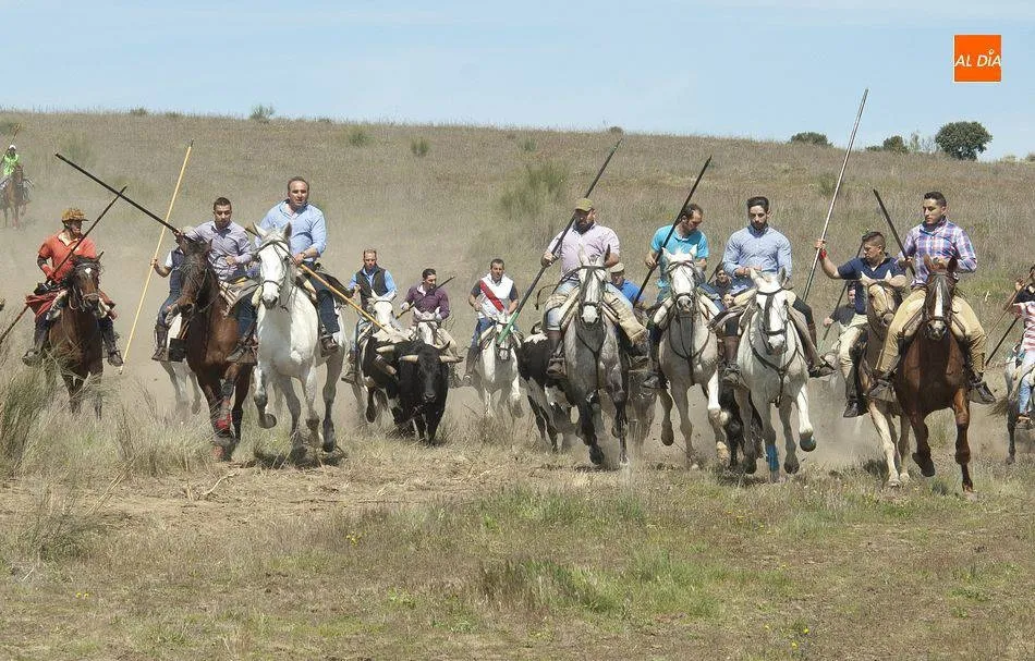 El Ayuntamiento de Gallegos de Argañán difunde un vídeo especial rememorando sus fiestas  