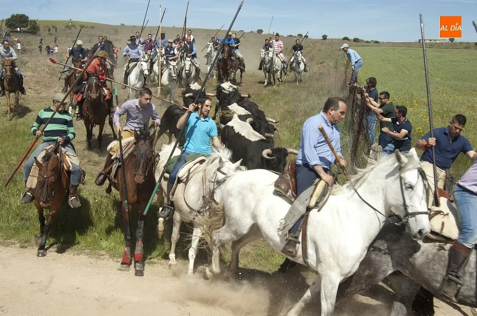 Foto 10 - Gallegos de Arga&ntilde;&aacute;n, la gran apertura del carrusel festivo de la comarca mirobrigense  