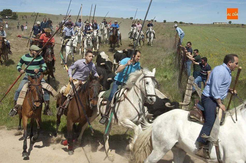 Foto 9 - Gallegos de Arga&ntilde;&aacute;n, la gran apertura del carrusel festivo de la comarca mirobrigense  