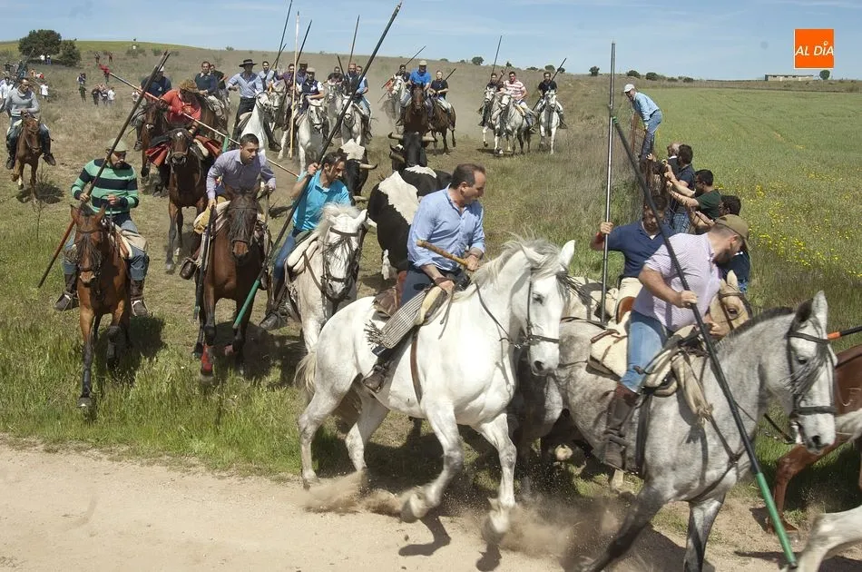 Foto 11 - Gallegos de Arga&ntilde;&aacute;n, la gran apertura del carrusel festivo de la comarca mirobrigense  