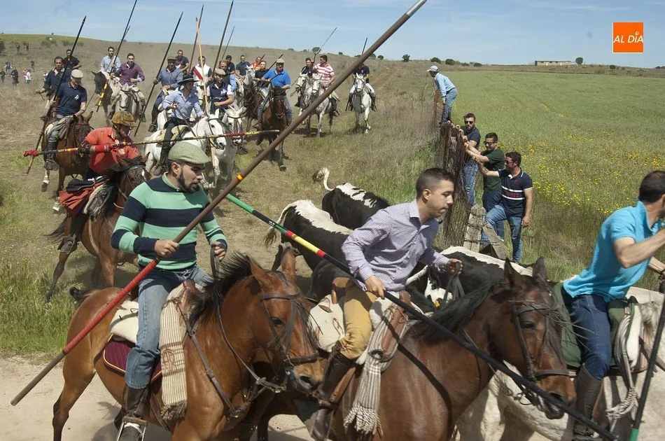 Foto 7 - Gallegos de Arga&ntilde;&aacute;n, la gran apertura del carrusel festivo de la comarca mirobrigense  