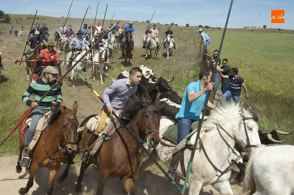 Foto 8 - Gallegos de Arga&ntilde;&aacute;n, la gran apertura del carrusel festivo de la comarca mirobrigense  