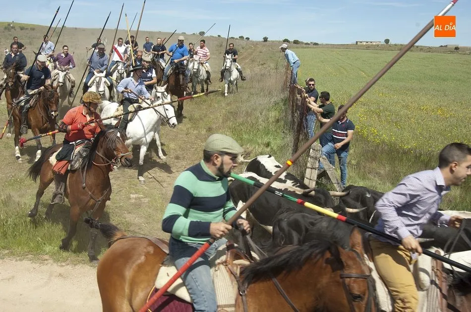Foto 6 - Gallegos de Arga&ntilde;&aacute;n, la gran apertura del carrusel festivo de la comarca mirobrigense  