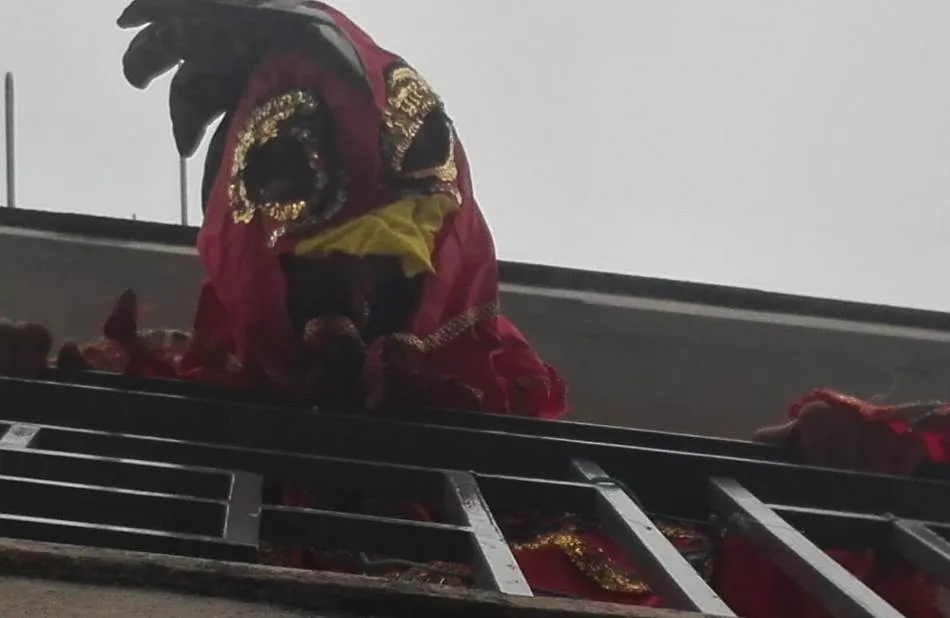 Foto 10 - La calle S&aacute;nchez Caba&ntilde;as vive una fiesta de disfraces desde sus balcones  