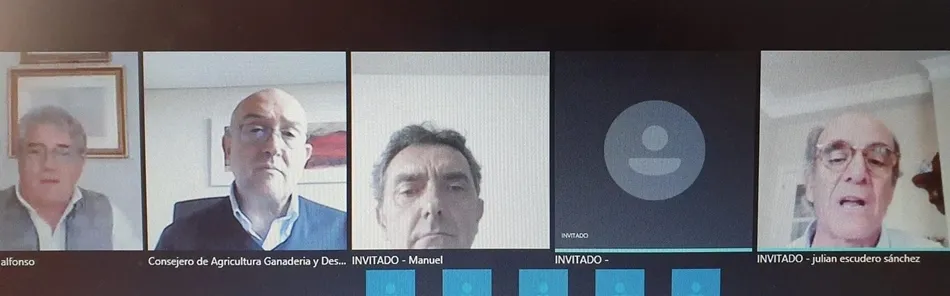 Reunión telemática