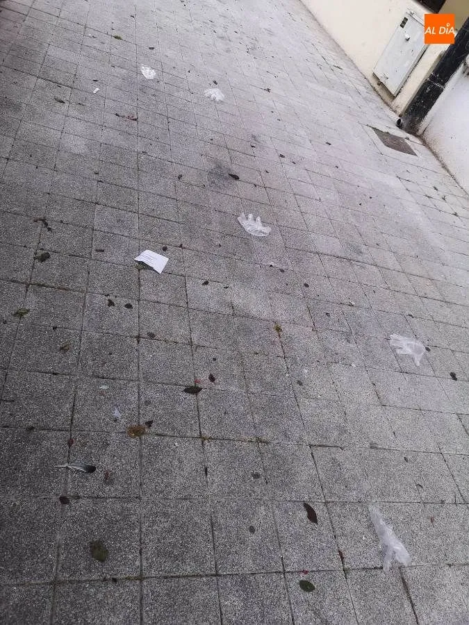 Foto 4 - Quejas en el barrio del Oeste por la cantidad de guantes desechables tirados en la calle Pap&iacute;n