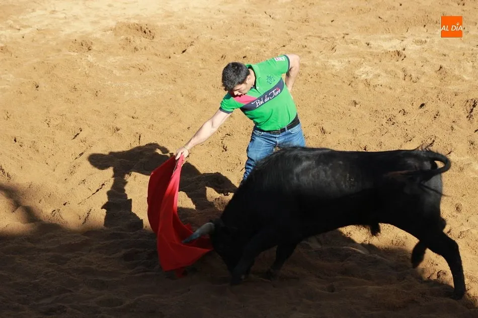 Foto 9 - La comarca mirobrigense sin fiestas patronales a causa de la pandemia mundial  