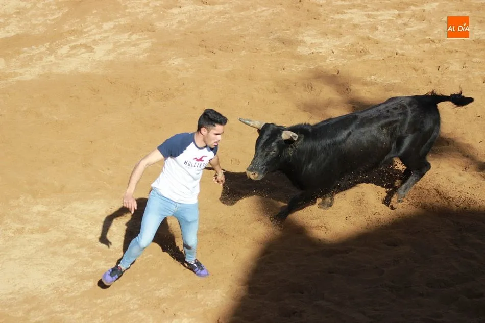 Foto 10 - La comarca mirobrigense sin fiestas patronales a causa de la pandemia mundial  