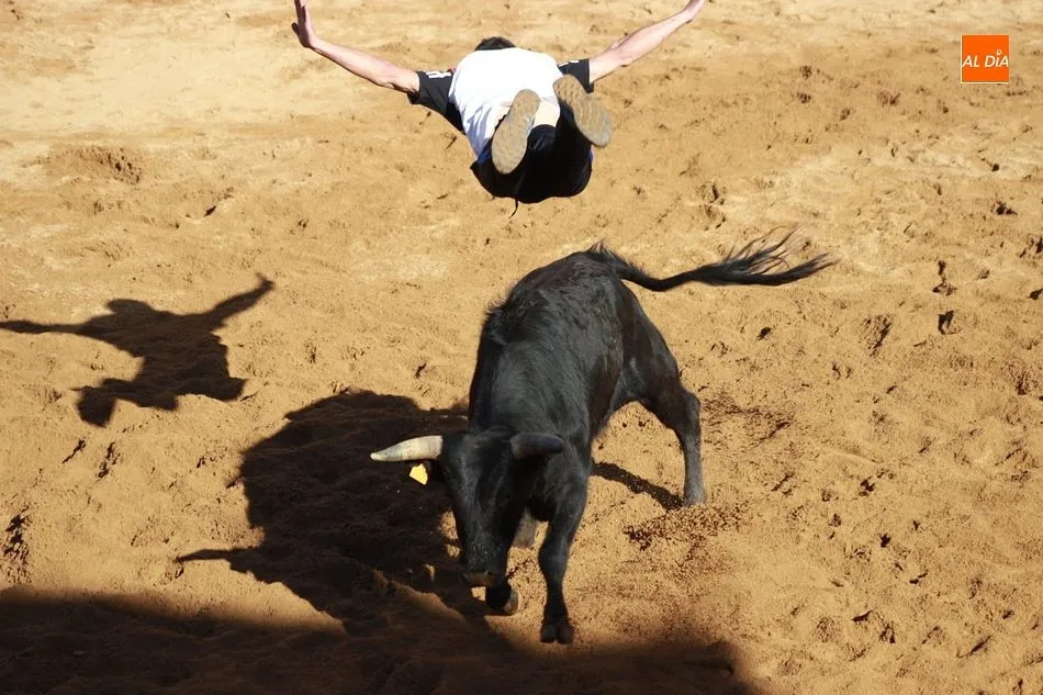 Foto 7 - La comarca mirobrigense sin fiestas patronales a causa de la pandemia mundial  