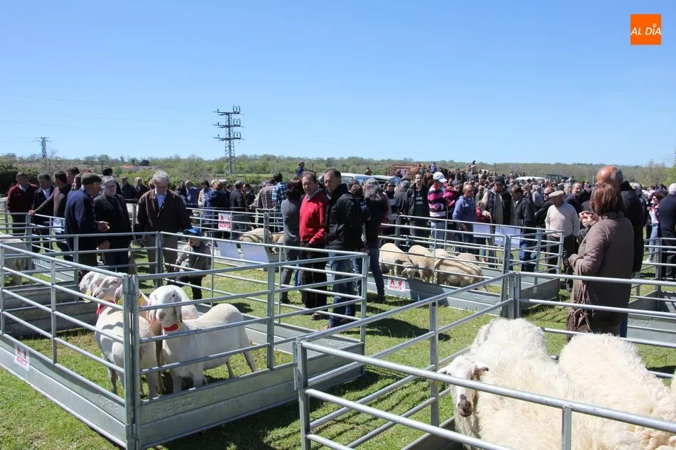 Foto 7 - Los vecinos de Barruecopardo viven la feria de San Felipe en el recuerdo  