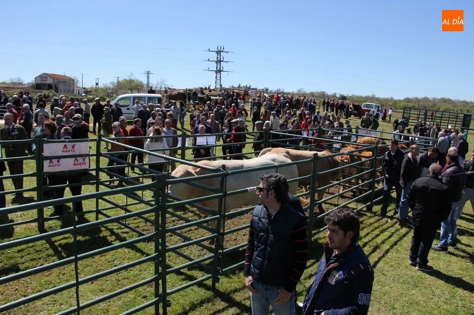 Foto 5 - Los vecinos de Barruecopardo viven la feria de San Felipe en el recuerdo  