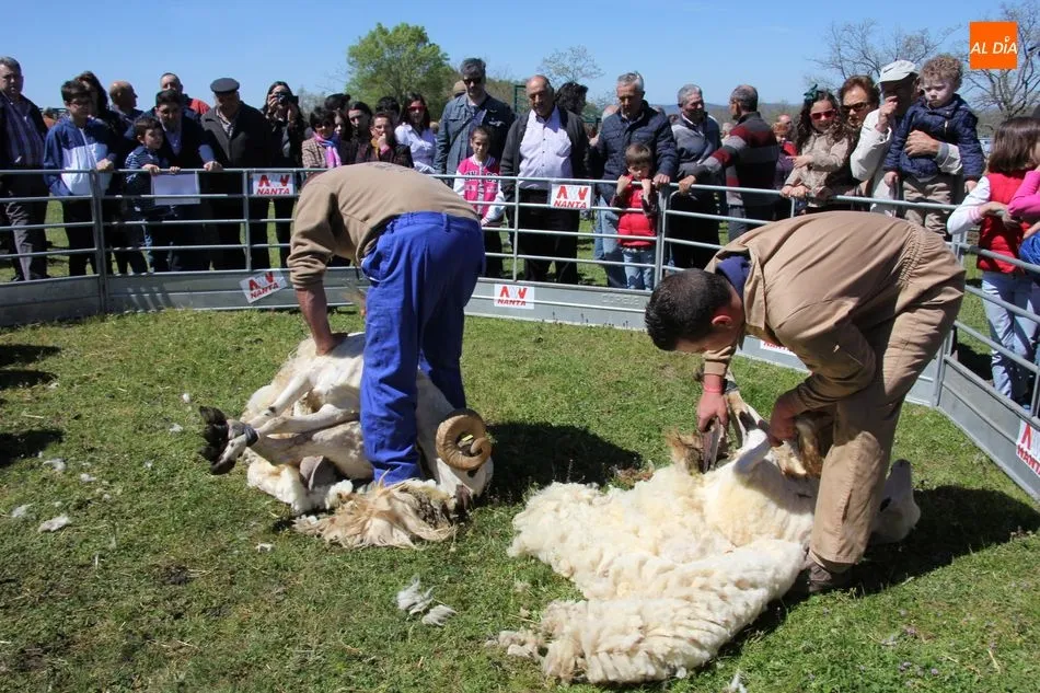 Foto 4 - Los vecinos de Barruecopardo viven la feria de San Felipe en el recuerdo  