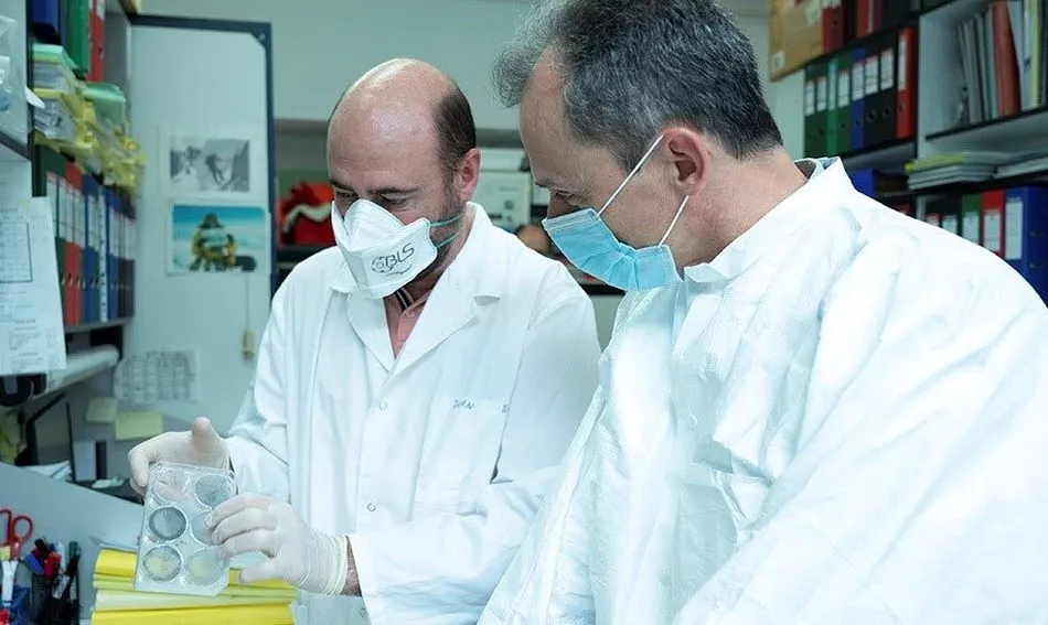 Investigadores del CNB ensayarán con animales el candidato a vacuna frente a COVID la próxima semana - MINISTERIO DE CIENCIA E INNOVACIÓN