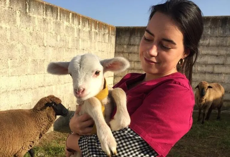 Sofía Domínguez (@sofiadom8)