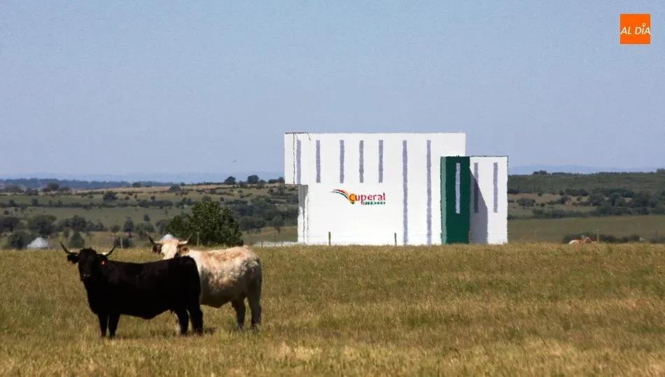 Cuperal inaugurará su nueva fábrica de piensos en Vitigudino en cuanto el estado de alarma permita un acto como el que merece este proyecto  /  CORRAL