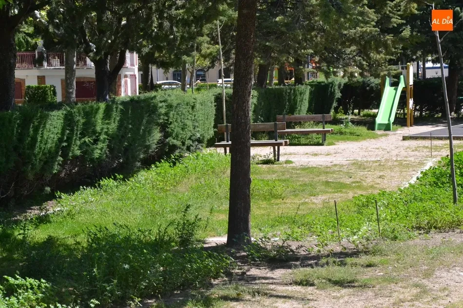 Foto 4 - En marcha los trabajos para habilitar una segunda pista de petanca en La Glorieta  