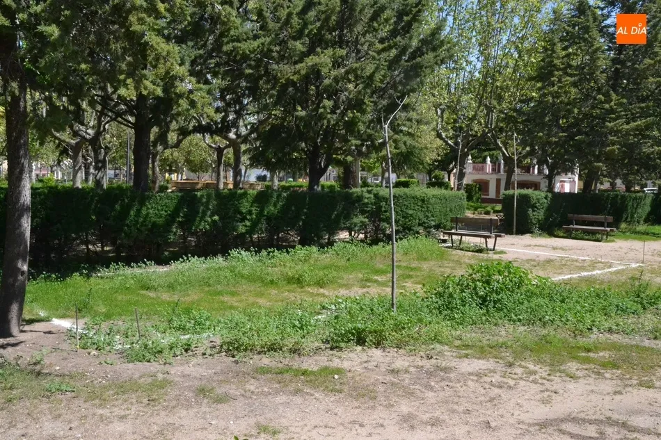 Foto 5 - En marcha los trabajos para habilitar una segunda pista de petanca en La Glorieta  