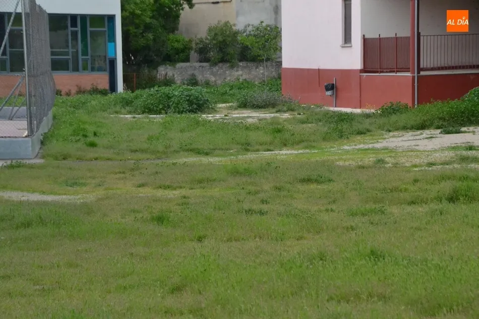 1Foto: Territorio verde  