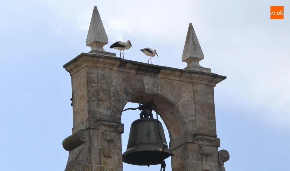 De sentimientos y sensaciones  