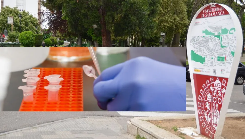 La USAL se pone a disposición de los sectores públicos y privados para hacer test PCR