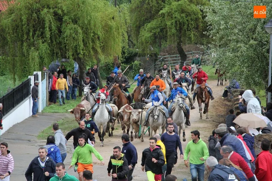 Foto 5 - San Felices de los Gallegos vivir&aacute; El Noveno de forma virtual  