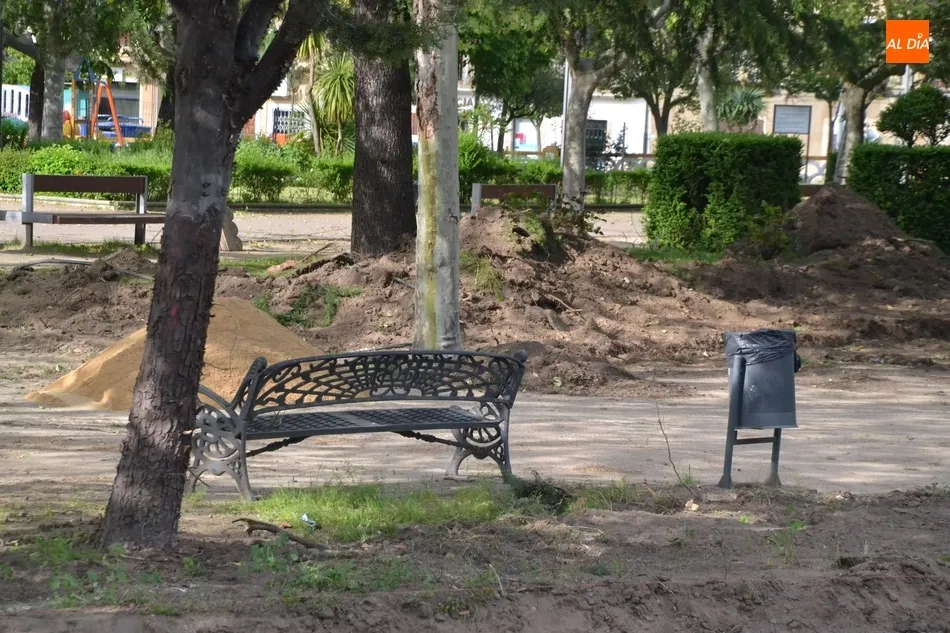 Foto 9 - Retirada otra hilera de arbustos de La Glorieta para dar cabida a la nueva pista de petanca  