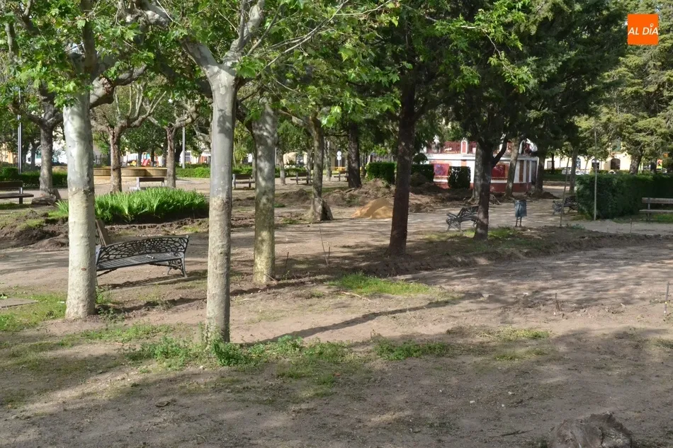 Foto 11 - Retirada otra hilera de arbustos de La Glorieta para dar cabida a la nueva pista de petanca  
