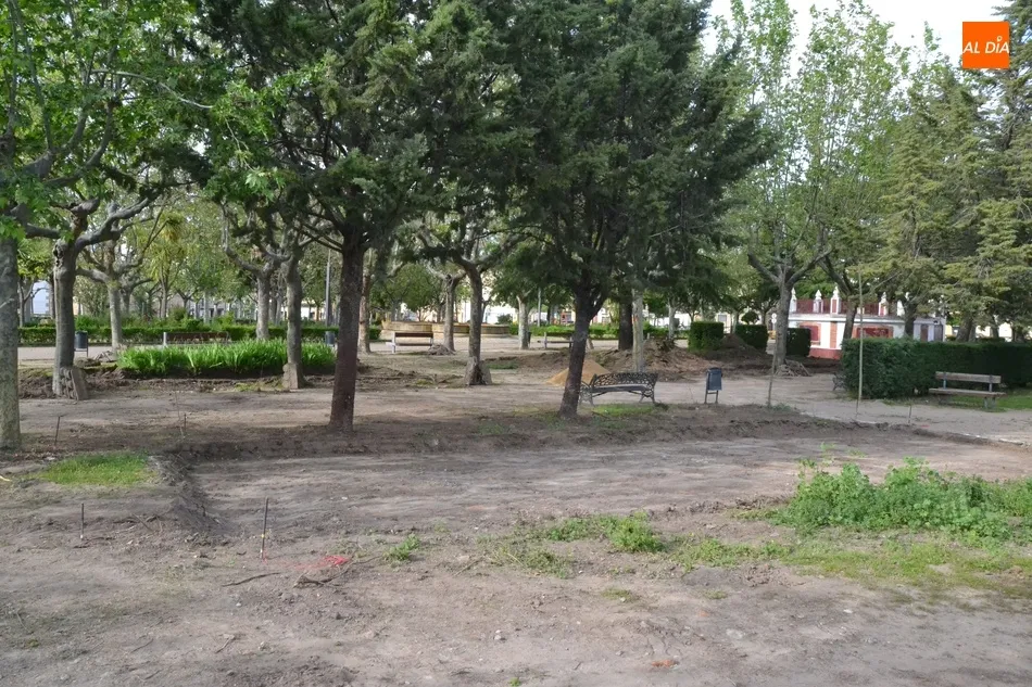 Foto 10 - Retirada otra hilera de arbustos de La Glorieta para dar cabida a la nueva pista de petanca  