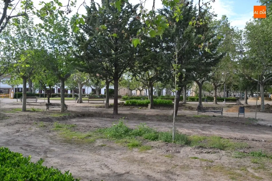 Foto 7 - Retirada otra hilera de arbustos de La Glorieta para dar cabida a la nueva pista de petanca  