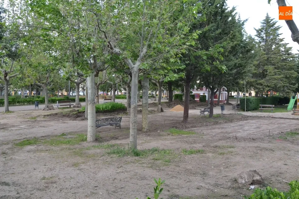 Retirada otra hilera de arbustos de La Glorieta para dar cabida a la nueva pista de petanca  