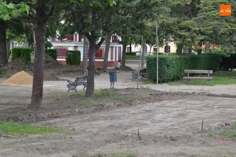 Foto 3 - Retirada otra hilera de arbustos de La Glorieta para dar cabida a la nueva pista de petanca  