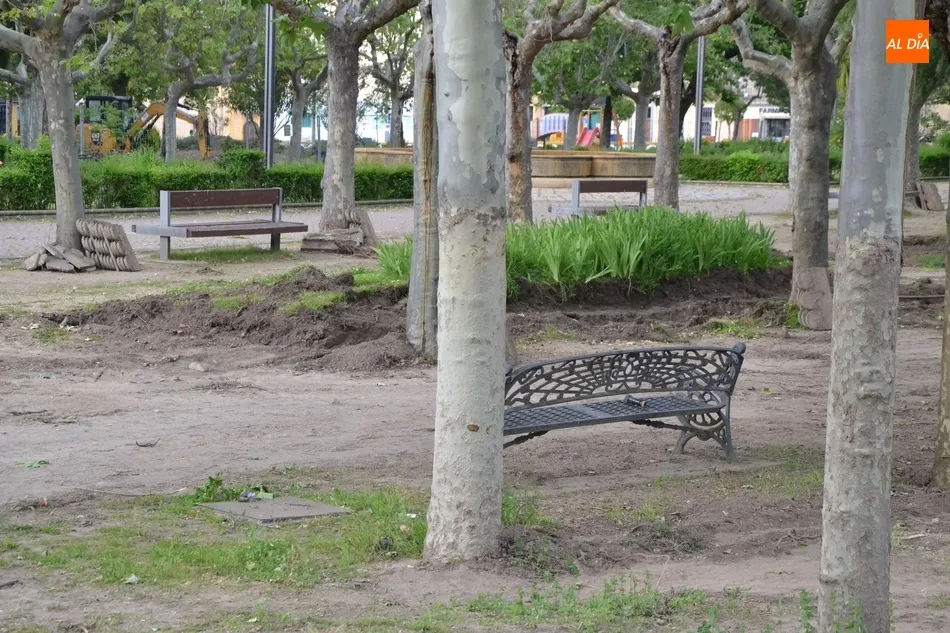 Foto 4 - Retirada otra hilera de arbustos de La Glorieta para dar cabida a la nueva pista de petanca  