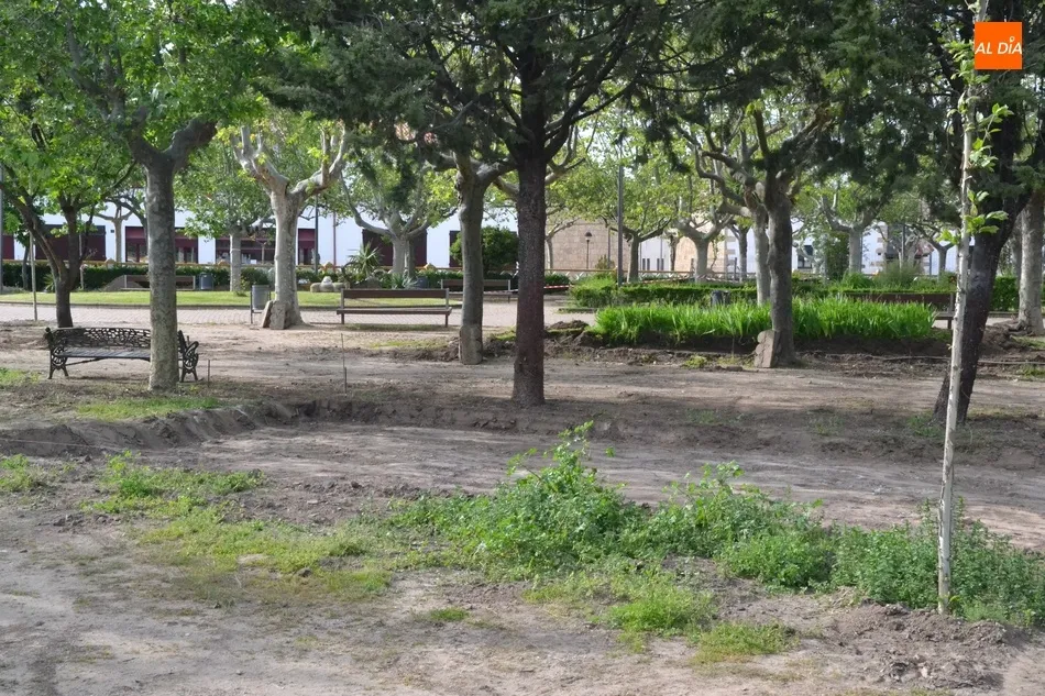 Foto 6 - Retirada otra hilera de arbustos de La Glorieta para dar cabida a la nueva pista de petanca  