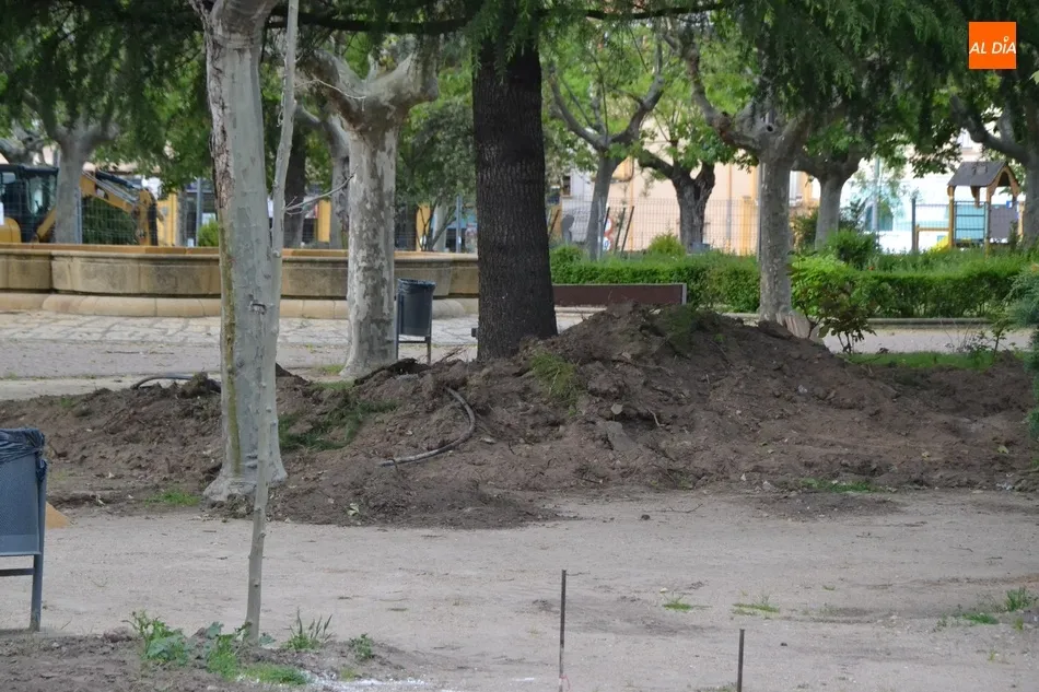 Foto 2 - Retirada otra hilera de arbustos de La Glorieta para dar cabida a la nueva pista de petanca  