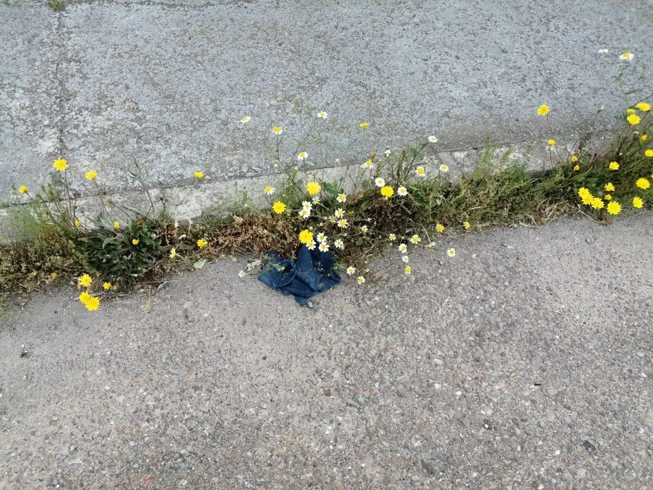 Foto 2 - Contin&uacute;a el abandono de guantes y mascarillas en las calles