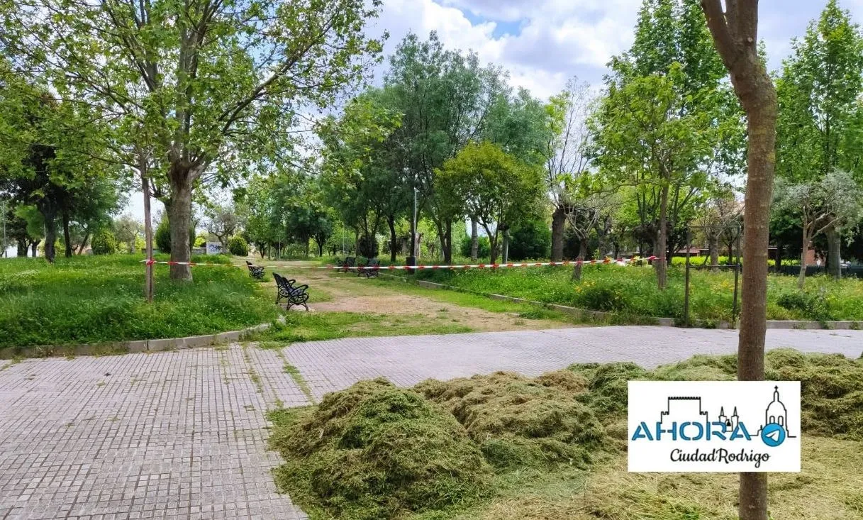 Foto 4 - Cerrados al p&uacute;blico la isla de El Pic&oacute;n y la &lsquo;Zona Verde&rsquo;  