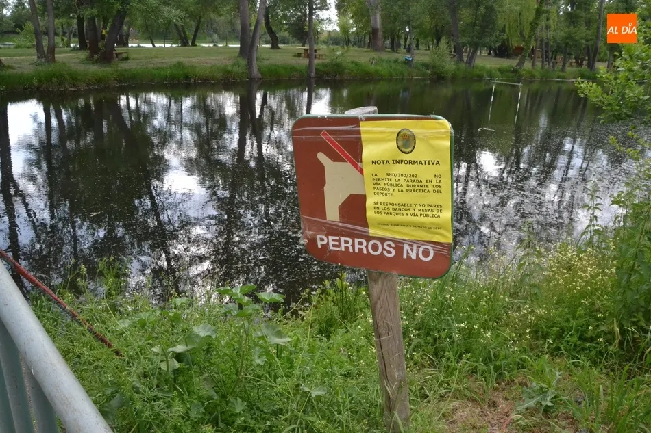 1Foto: No fue suficiente  