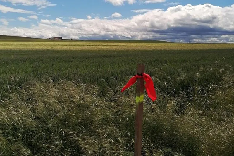 La Policía Local señalizaba el termino de Peñaranda para ayudar a deportistas y caminantes