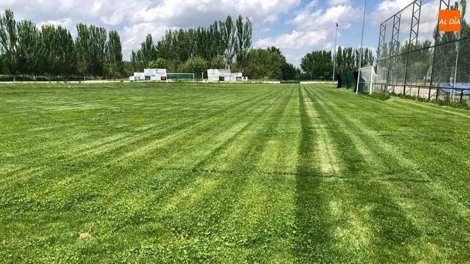 Estado actual del césped de La Dehesa