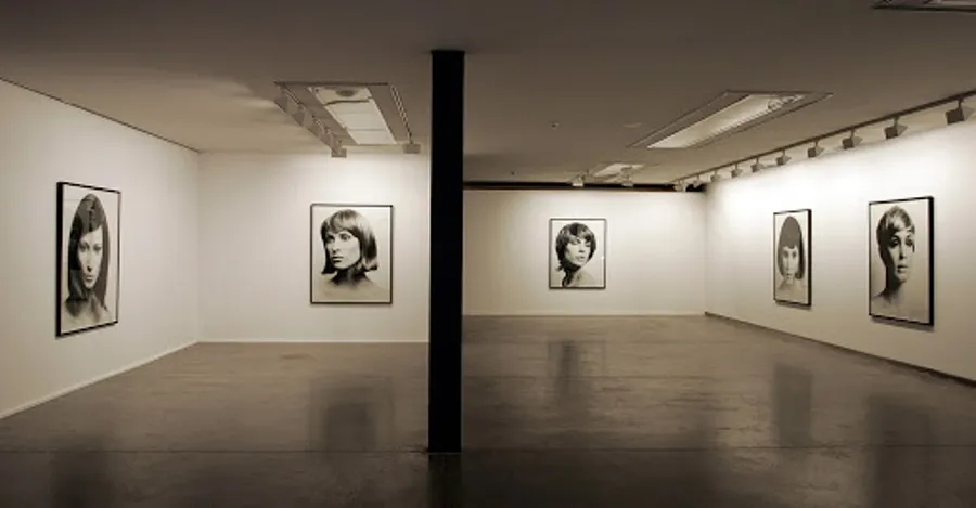 Desde la página web del DA2 se podrá acceder a un nuevo site que albergará la obra e información de ‘’Visiones Contemporáneas – En Casa’’