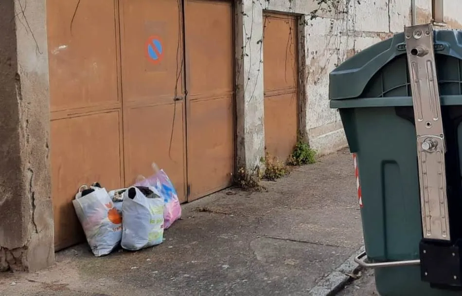 1Foto: La extraña moda de no usar los contenedores  