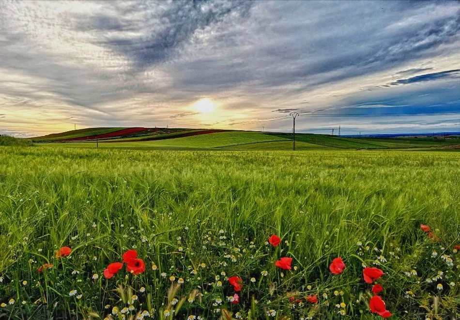 El futuro nos espera