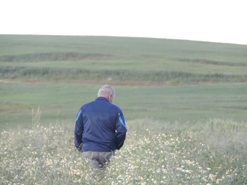Fotografía tomadas por Marisa Rodero en sus tardes de paseo.