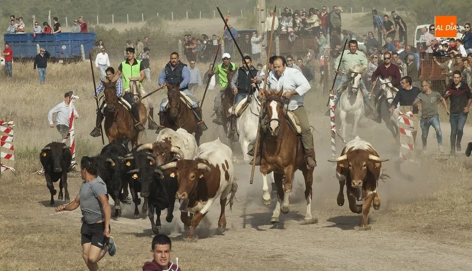 Imagen del encierro a caballo de las fiestas del año pasado | Fotos Adrián Martín