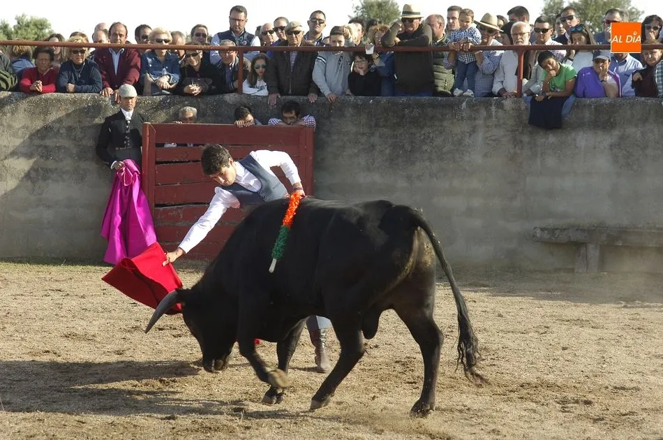 Foto 10 - Fin de semana de a&ntilde;oranza en Carpio de Azaba a sus fiestas de San Isidro Labrador  