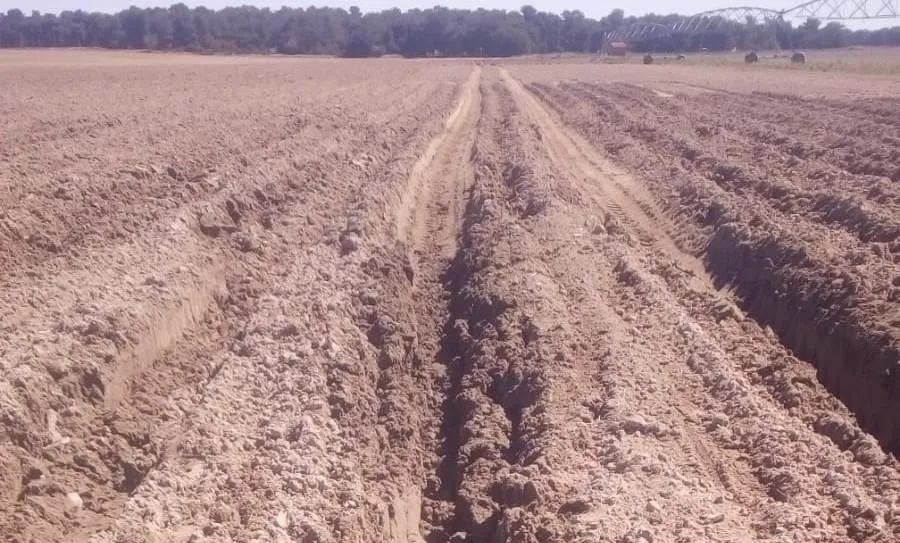 “El momento del riego será difícil porque está a trozos encharcado y otros, no, explica uno de los agricultores de Villoria